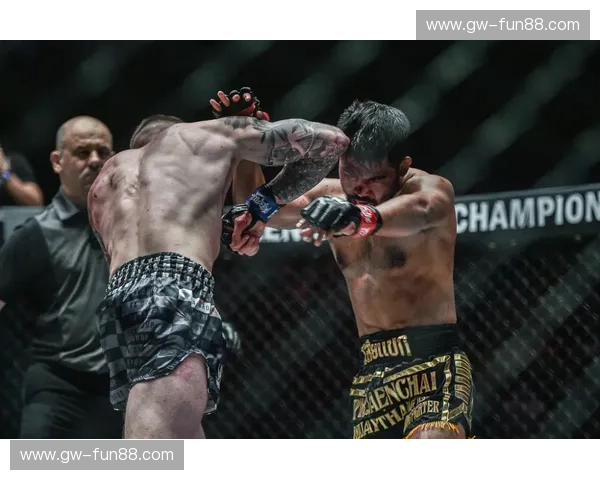 幻影重拳vs钢铁洪流：大卫·海耶与波维特金的巅峰梦幻对决